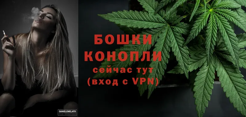 OMG как зайти  Ачхой-Мартан  Конопля Ganja 